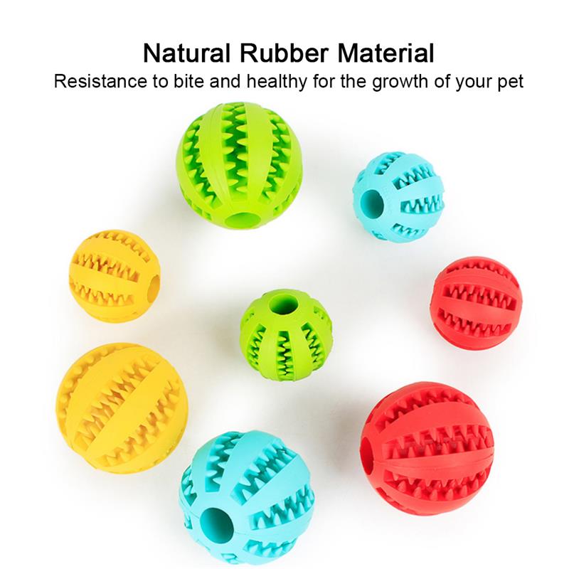 Dog Food Ball Toy