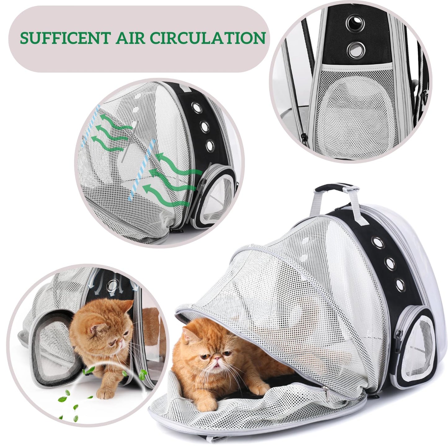 Bubble backpack pet carrier