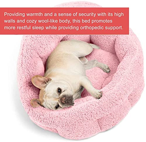 Self- Warming Cat and Dog Bed, Large Size, Multiple Colors