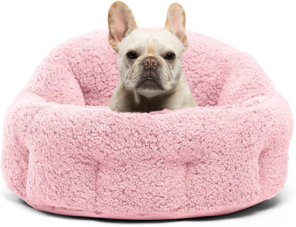 Self- Warming Cat and Dog Bed, Large Size, Multiple Colors