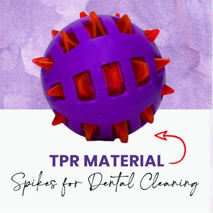 Basil Squeaky Rubber Ball Toy for Dogs