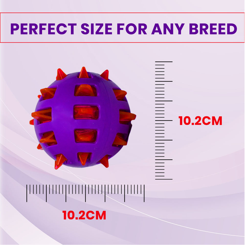 Basil Squeaky Rubber Ball Toy for Dogs