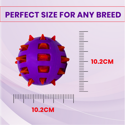 Basil Squeaky Rubber Ball Toy for Dogs