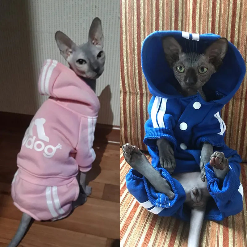 Cute Cat Sweater Hoodie