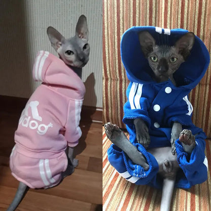 Cute Cat Sweater Hoodie