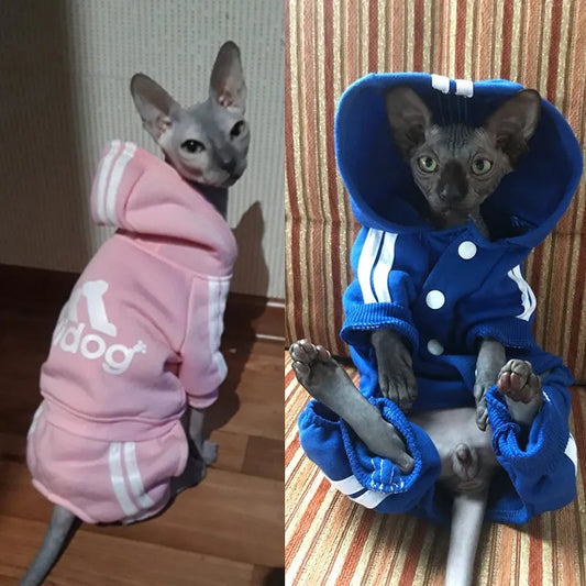 Cute Cat Sweater Hoodie