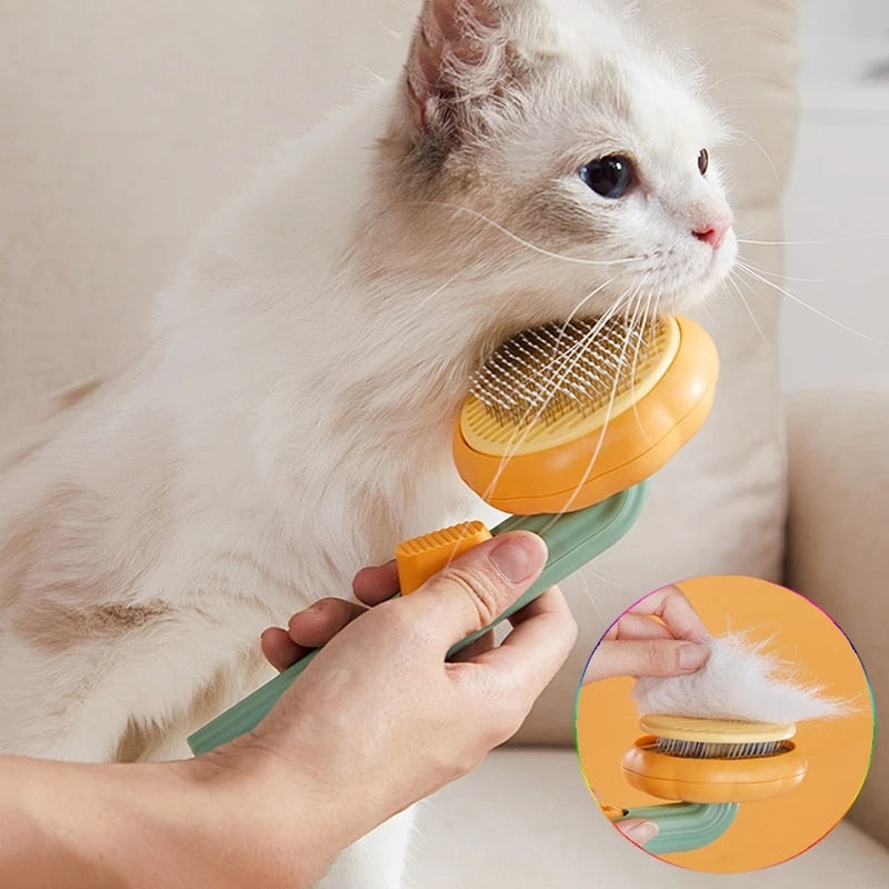 Pet Pumpkin Hair Comb