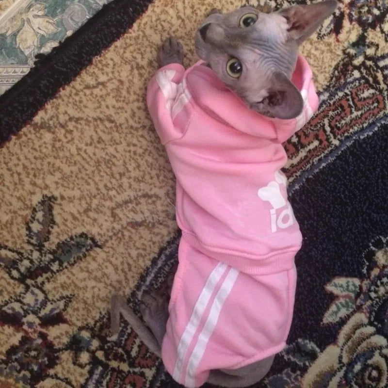 Cute Cat Sweater Hoodie