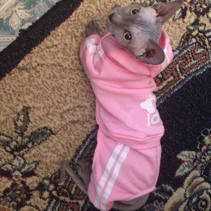 Cute Cat Sweater Hoodie