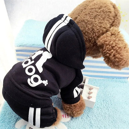 Cute Cat Sweater Hoodie