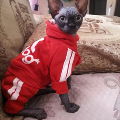 Cute Cat Sweater Hoodie