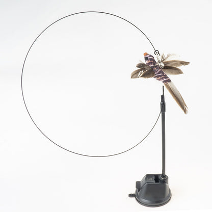 Handfeed Bird/Feather Pet Toys