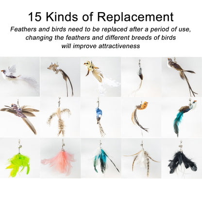 Handfeed Bird/Feather Pet Toys