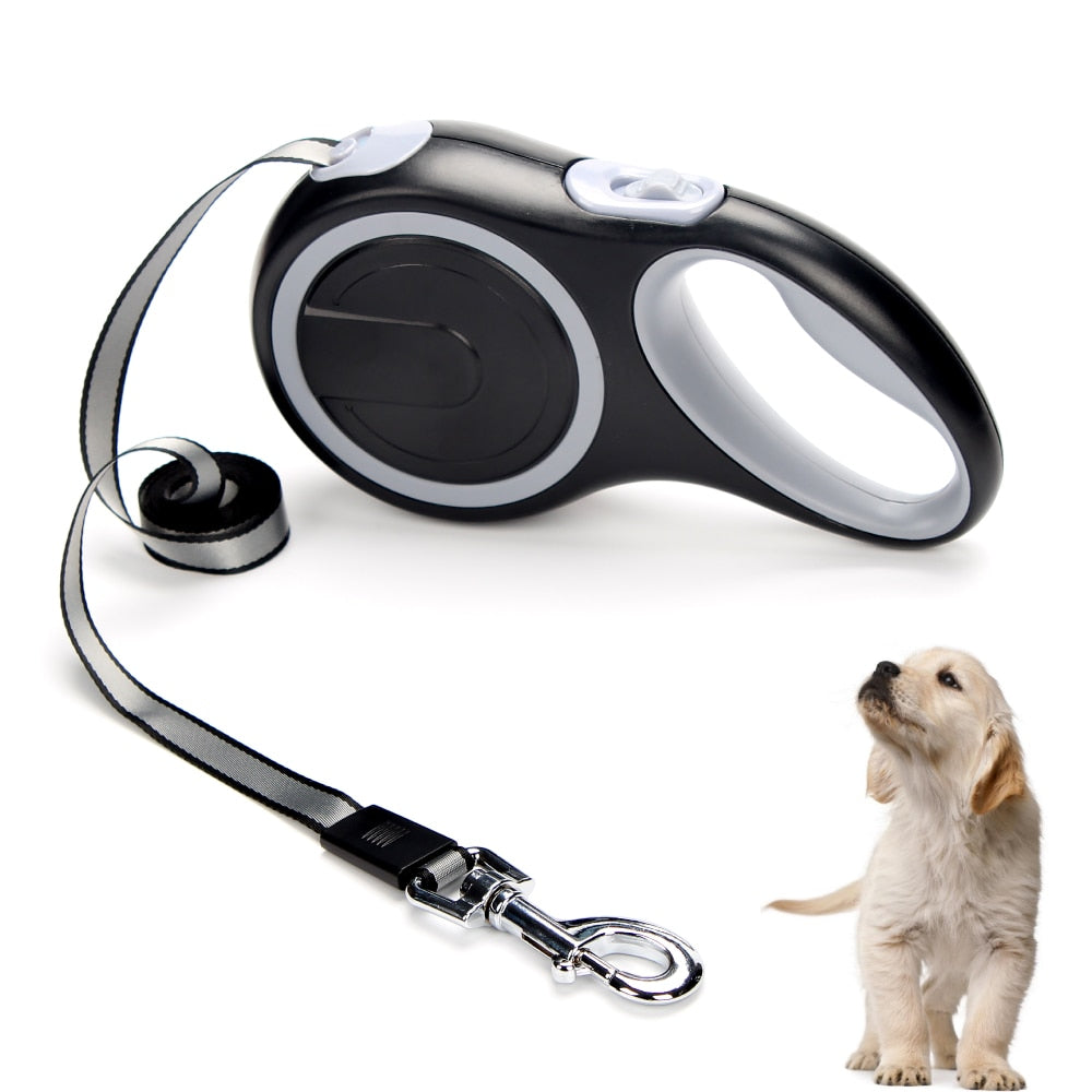 Long 8M Pet Automatic Leash