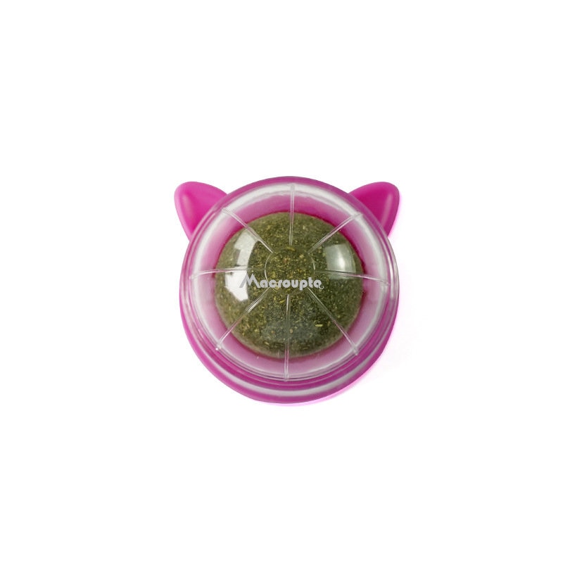 Pet Wall Stick-on Ball Toy