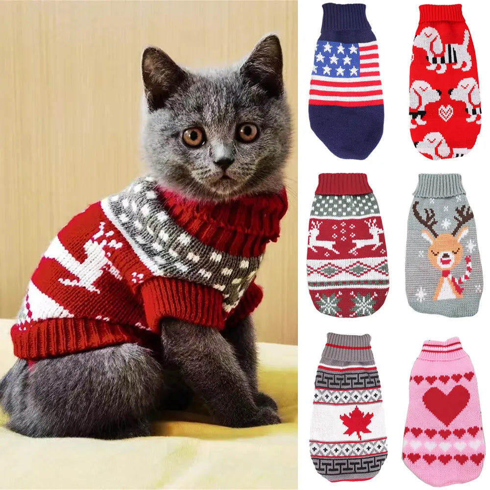 Cute Cat Sweater