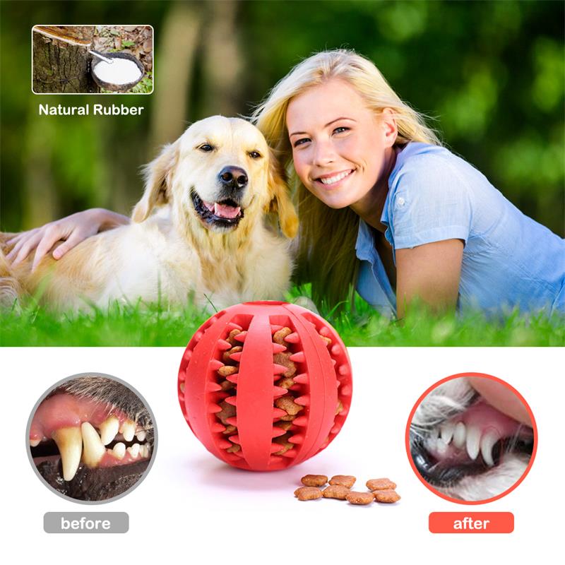 Dog Food Ball Toy