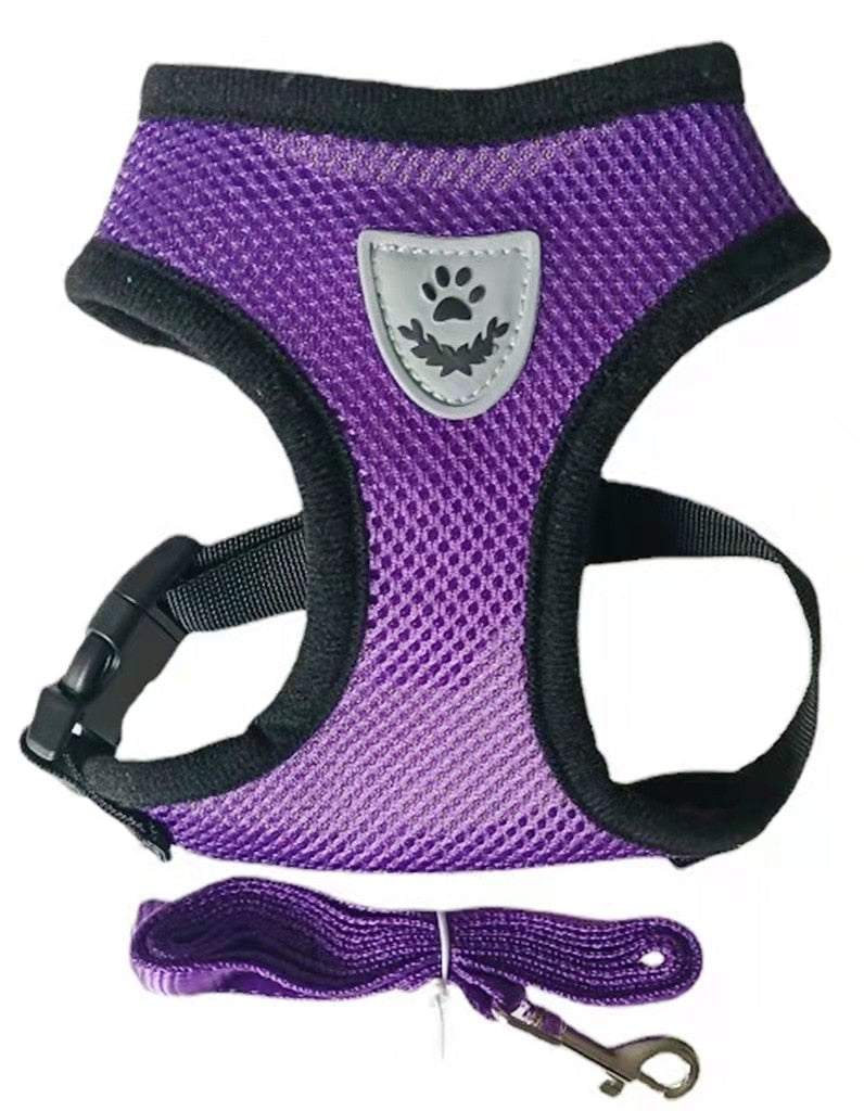 Peet Harness with Lead Leash