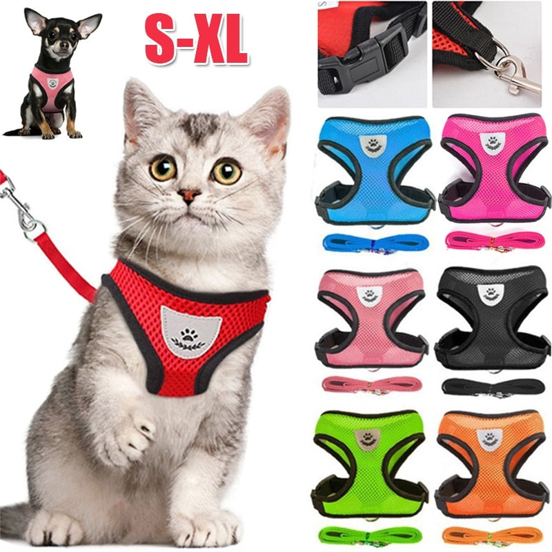 Peet Harness with Lead Leash