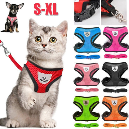 Peet Harness with Lead Leash