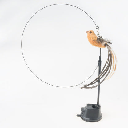 Handfeed Bird/Feather Pet Toys