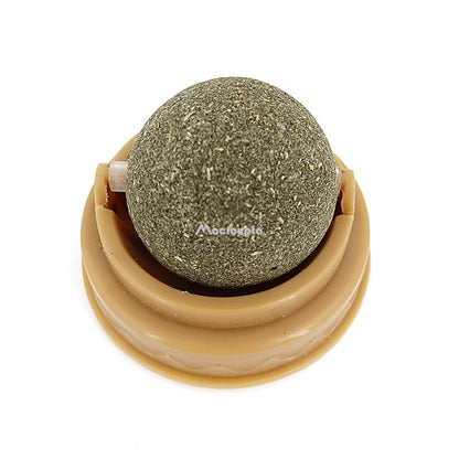 Pet Wall Stick-on Ball Toy