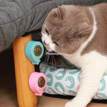 Pet Wall Stick-on Ball Toy
