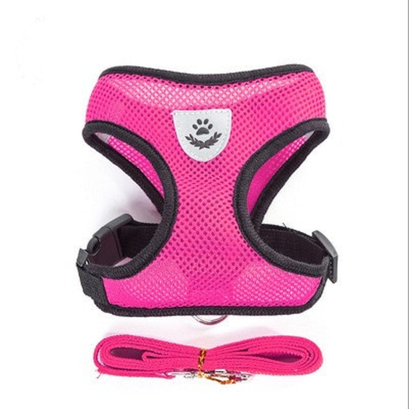 Peet Harness with Lead Leash