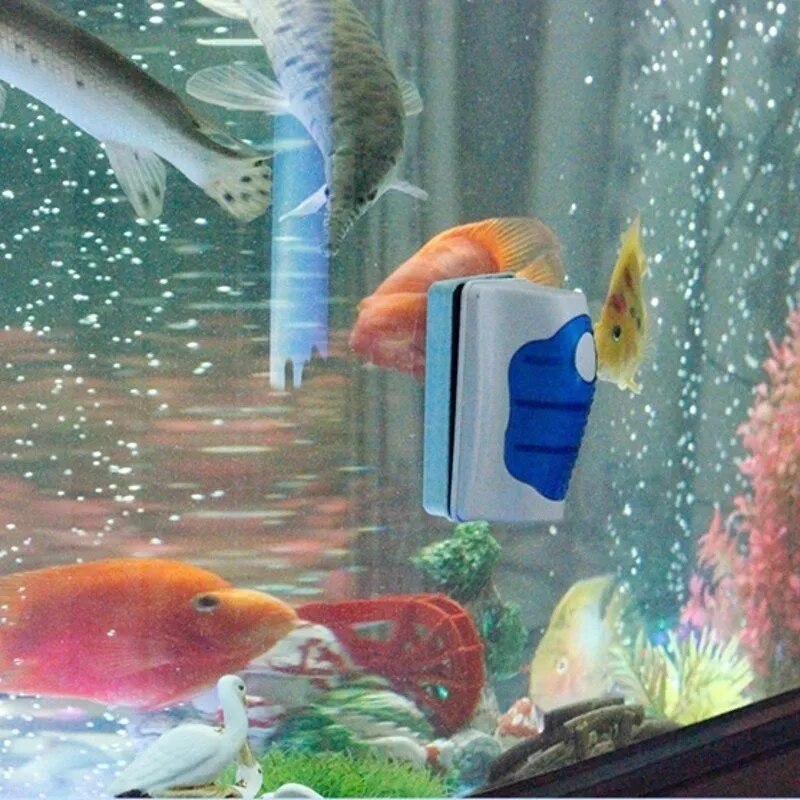 Fish Tank Glass Scraper Cleaner