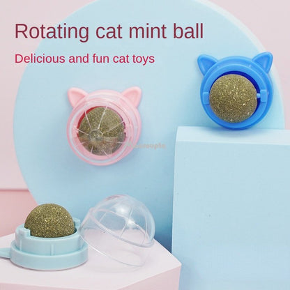 Pet Wall Stick-on Ball Toy