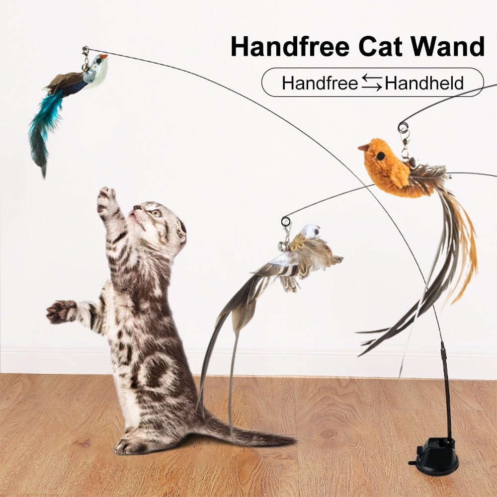 Handfeed Bird/Feather Pet Toys