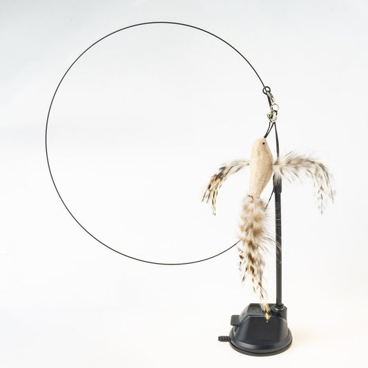 Handfeed Bird/Feather Pet Toys