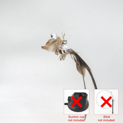 Handfeed Bird/Feather Pet Toys