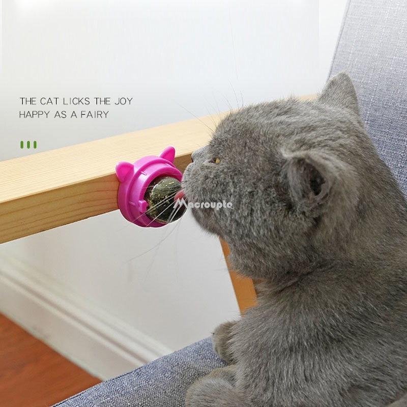 Pet Wall Stick-on Ball Toy