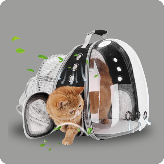 Bubble backpack pet carrier