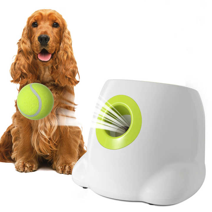 Automatic dog tennis ball launcher