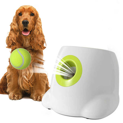 Automatic dog tennis ball launcher