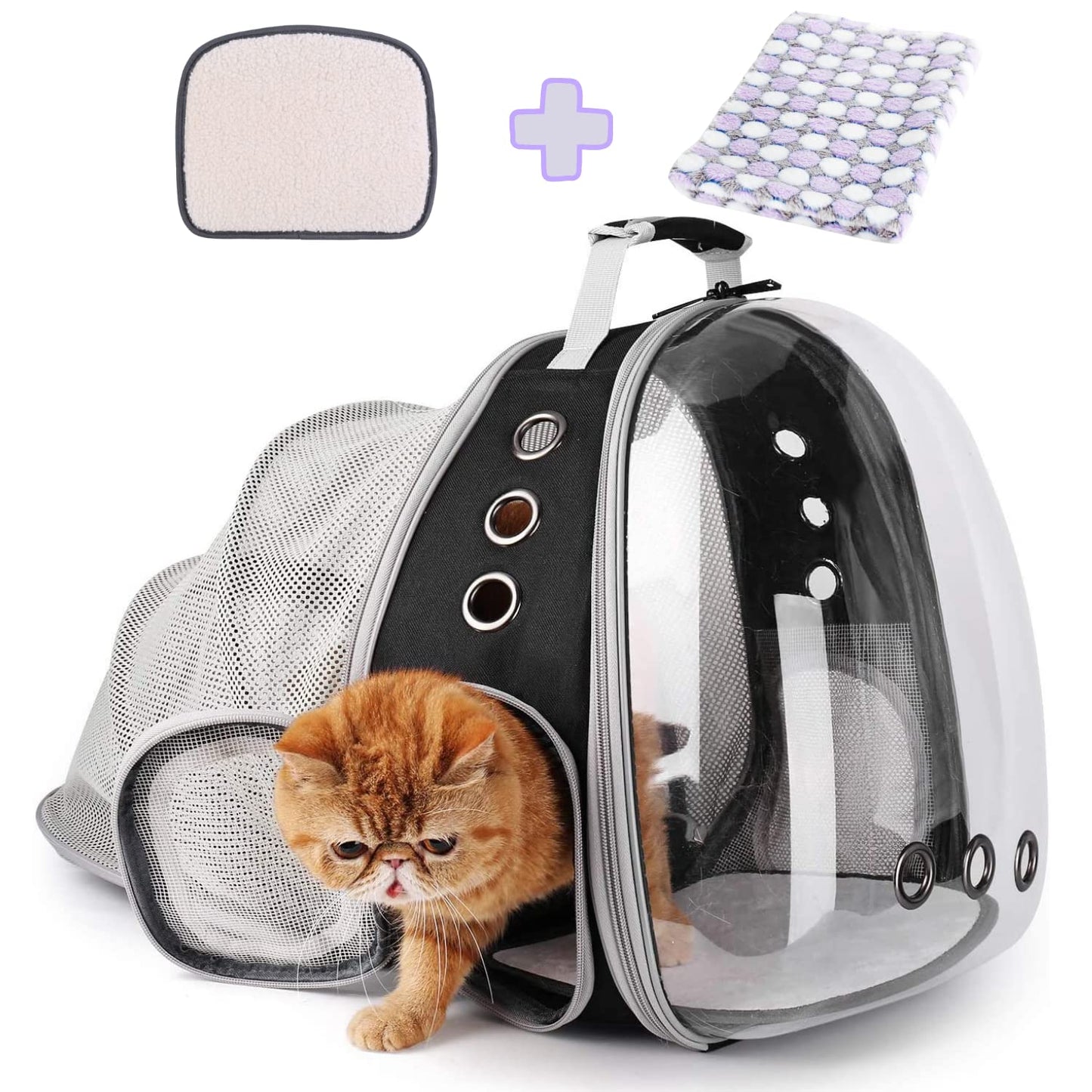 Bubble backpack pet carrier