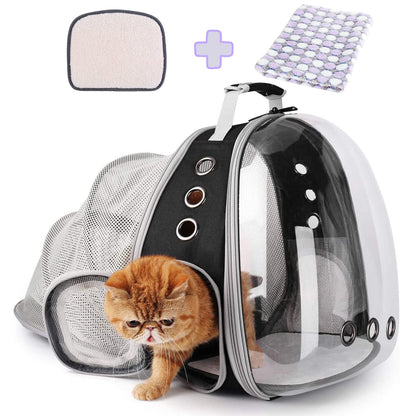 Bubble backpack pet carrier