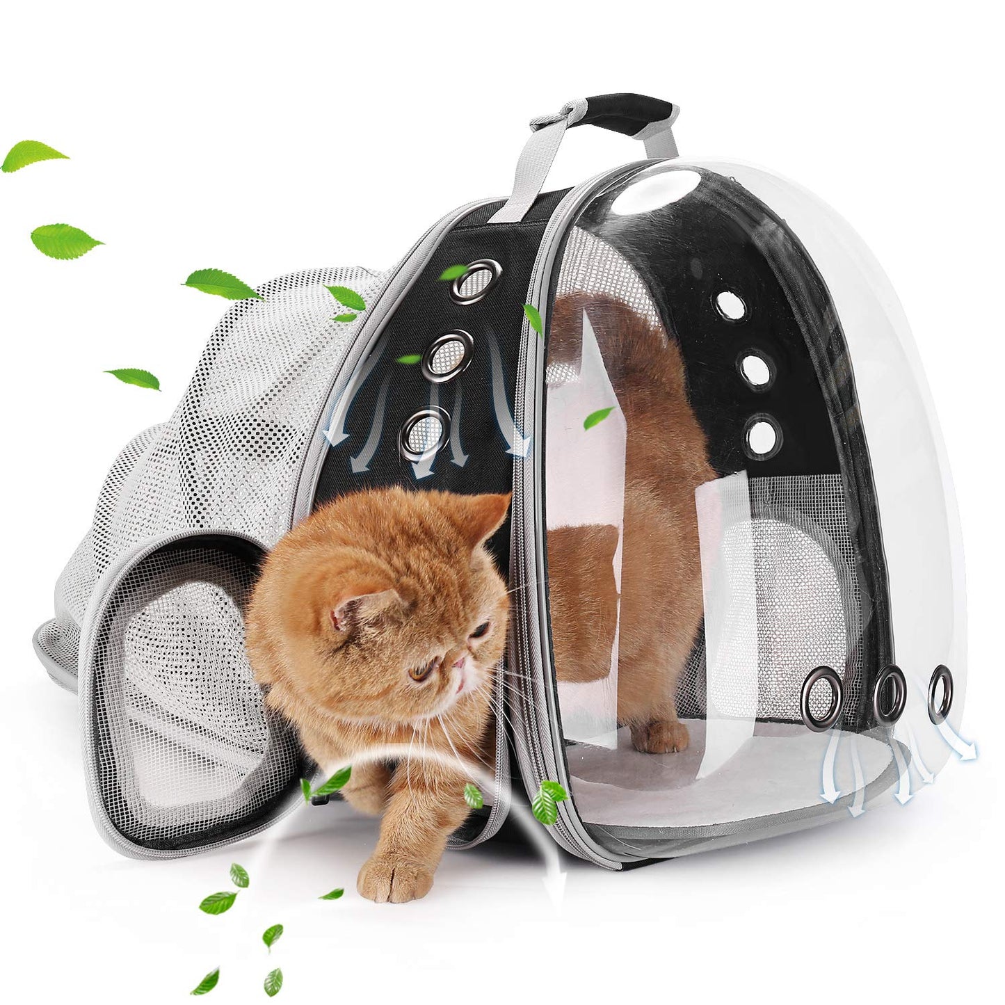 Bubble backpack pet carrier