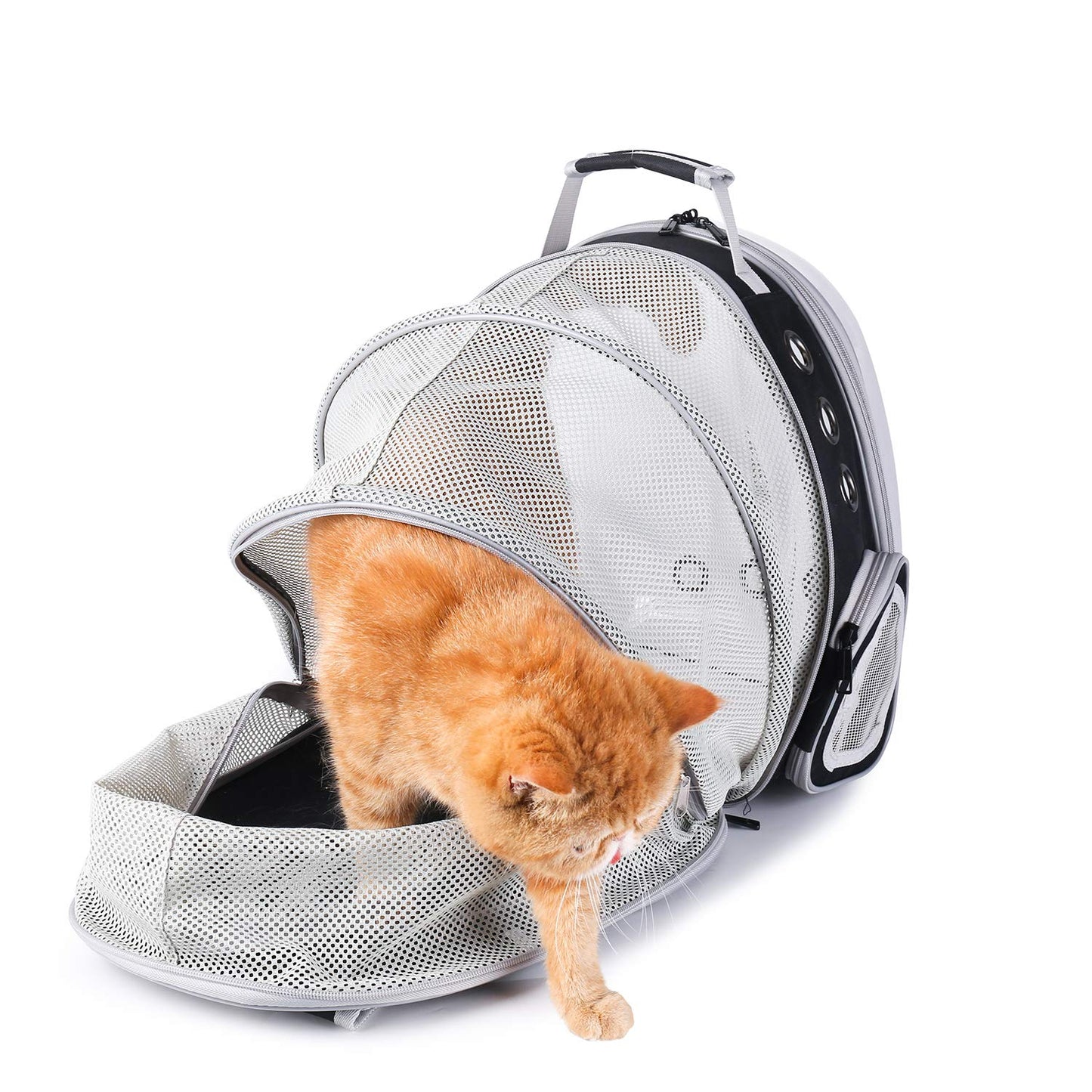 Bubble backpack pet carrier