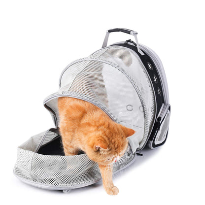 Bubble backpack pet carrier