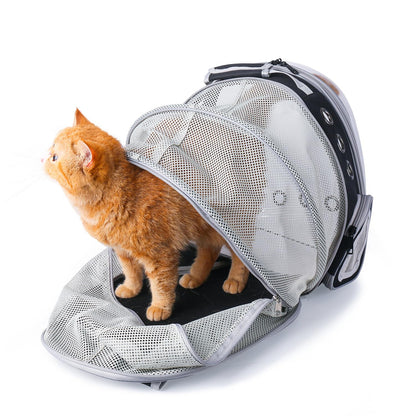 Bubble backpack pet carrier
